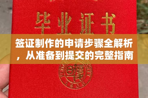 武山签证制作的申请步骤全解析，从准备到提交的完整指南