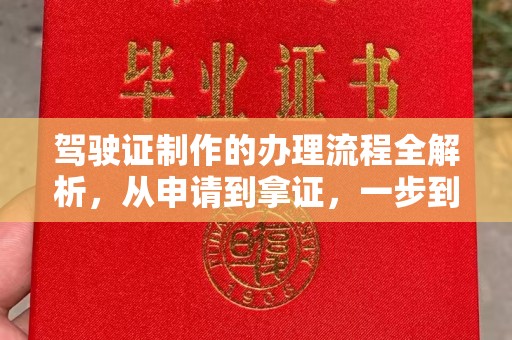 武山驾驶证制作的办理流程全解析，从申请到拿证，一步到位！