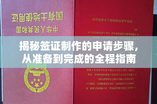 武山揭秘签证制作的申请步骤，从准备到完成的全程指南