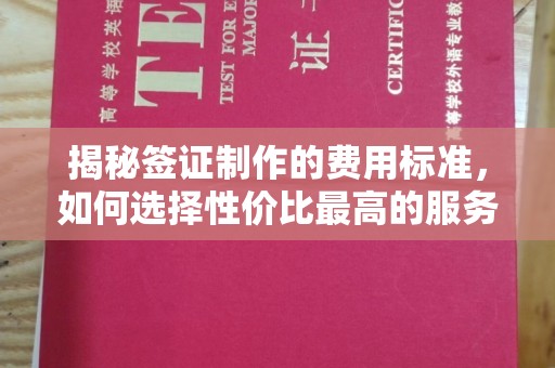 武山揭秘签证制作的费用标准，如何选择性价比最高的服务？
