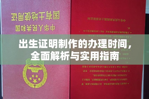 武山出生证明制作的办理时间，全面解析与实用指南